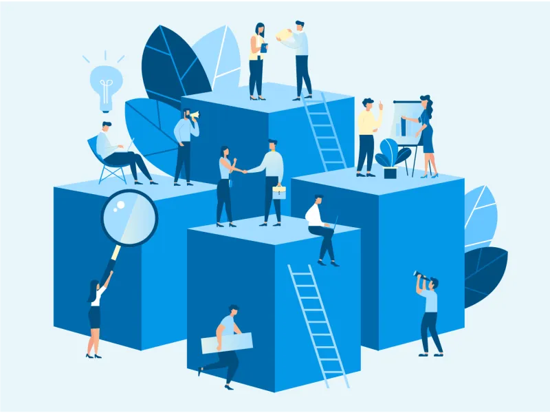 Development & IT